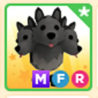 mfr cerberus
