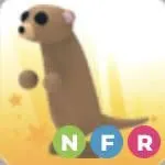 nfr meerkat
