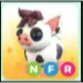 nfr mini pig