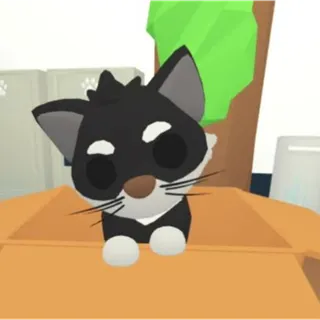 mega tuxedo cat
