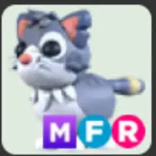 mfr Alley cat