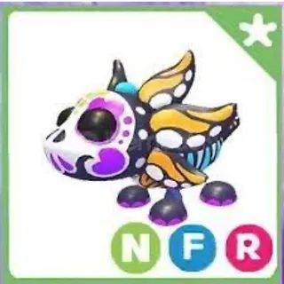NFR SUGAR AXOLOTL