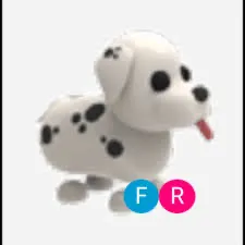 fr dalmatian 