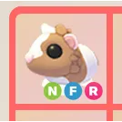 NFR CHOCOLATE DUTCH GUINEA PIG