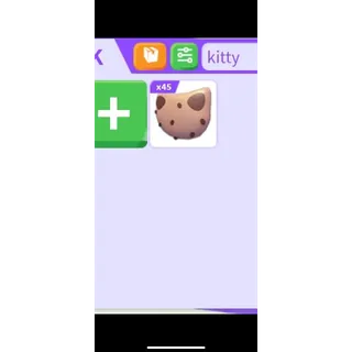 20x Kitty Biscuit