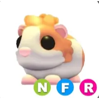NFR Red Dutch Guinea Pig