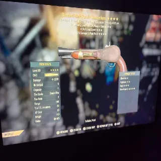 Be15rPP Blunderbuss