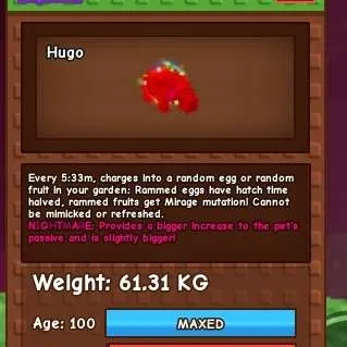 RAINBOW HATCHED RHINO 60KG+