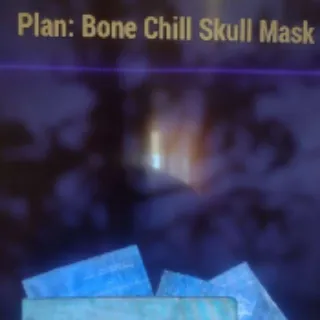 Bone Chill Skull Mask