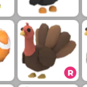 Ride Turkey