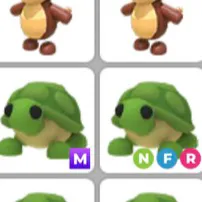mega and NFR turtle