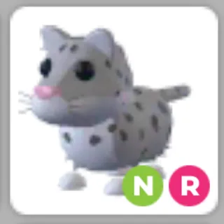 Neon Ride Snow Leopard