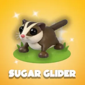Sugar Glider