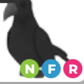 NFR crow
