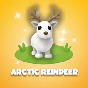 artic reindeer