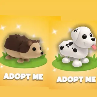 hedgehog and dalmation