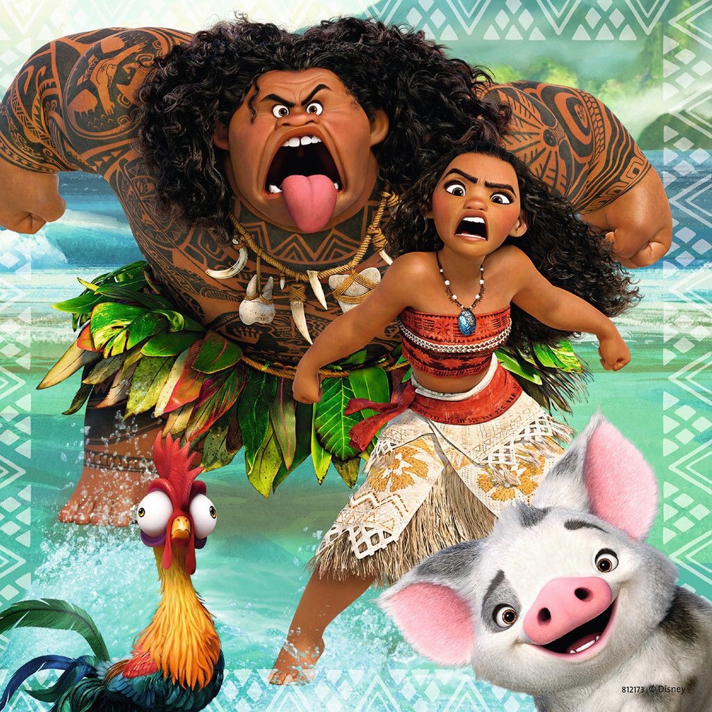 disney moana stuff