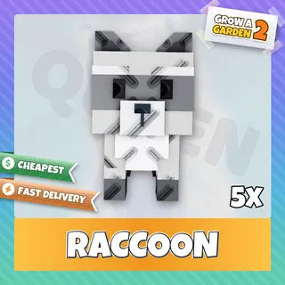 5x Raccoon