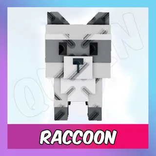 Raccoon - GAG 2