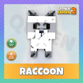 Raccoon - GAG 2
