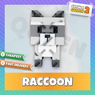 Raccoon