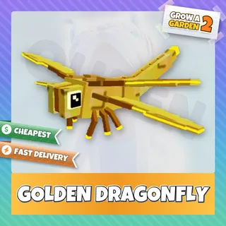 Golden Dragonfly