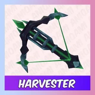 MM2 Bundle