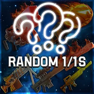 RANDOM 1/1S BUNDLE | $50