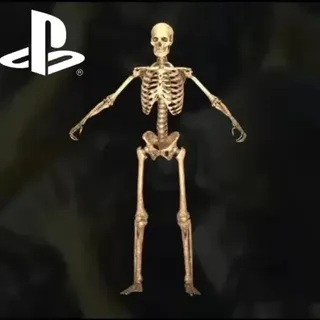 Dr Bones