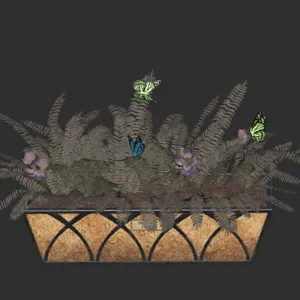 Flowering Box Mutated