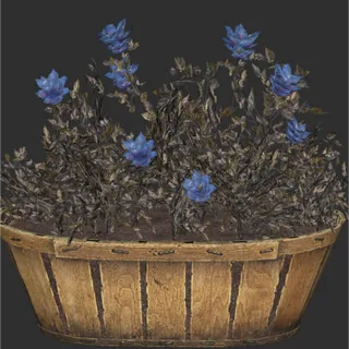 Flower Box - Soot Flower