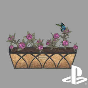 Flowering Box - Rhododen