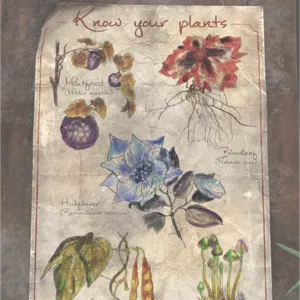 Pioneer Scout Plant