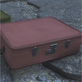 Suitcase Pink