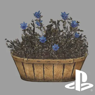 Flower Box - Soot Flower