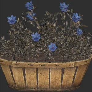 Flower Box - Soot Flower