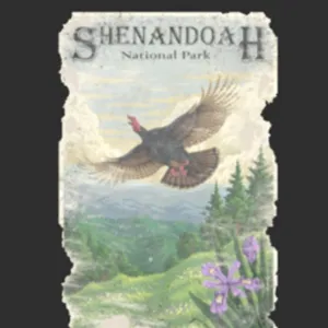 Shenandoah Turkey Poster