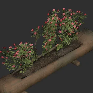 Helvetian Flower Display