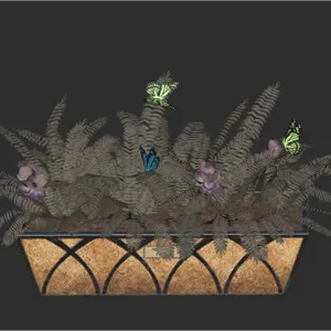 Flowering Box Mutated
