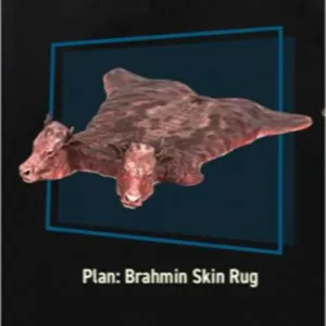 Plan | Brahmin Skin Rug