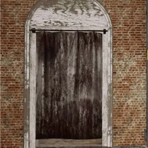 Bloody Curtain Door