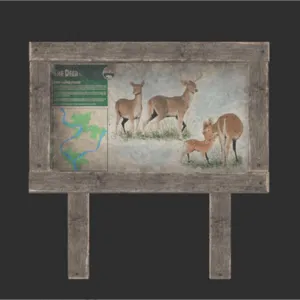 Wildlife Deer Trail Sign