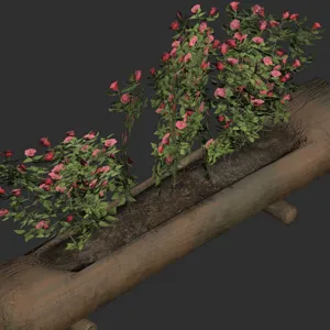 Helvetian Flower Display