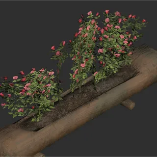 Helvetian Flower Display