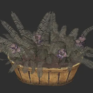 Flower Box Mutated Fern