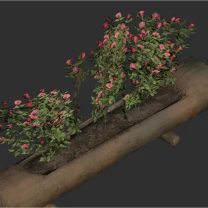 Helvetian Flower Display