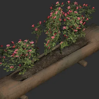Helvetian Flower Display
