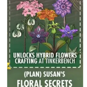 Susan’s Floral Secrets