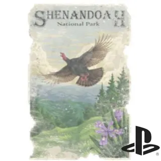 Shenandoah Turkey Poster