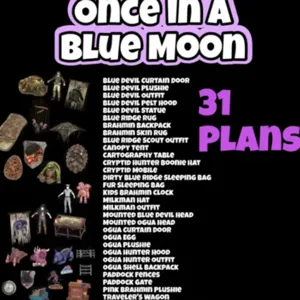 31 Plans Bundle